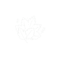 Fall Drawing Sticker by Sven H. Photography