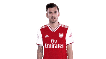 arsenal celebration celebrate goal spain Sticker