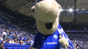 Football Sport GIF by FC Schalke 04