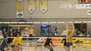 north dakota state bison GIF by NDSU Athletics