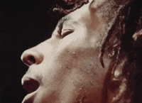 Bob Marley And The Wailers Reggae GIF by Bob Marley