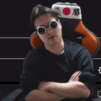 Sunglasses Goggle GIF