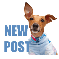 Italian Greyhound New Post Sticker by Iggy Joey