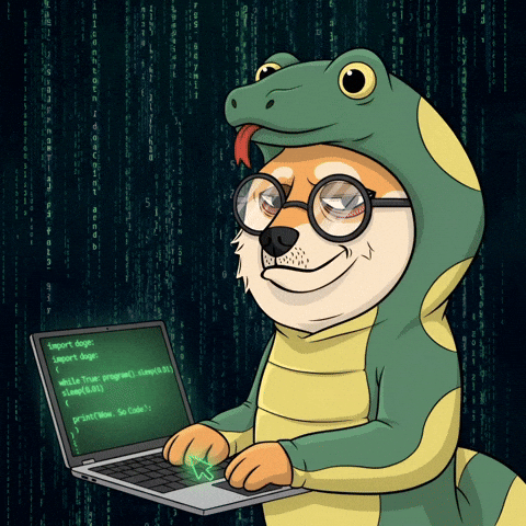Coding Shiba Inu GIF by Doge Pound