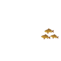 ADMNutricaoAnimal admnutricaoanimal Sticker