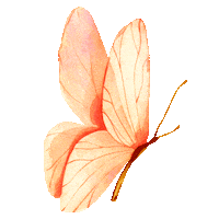 Illustration Flower Sticker