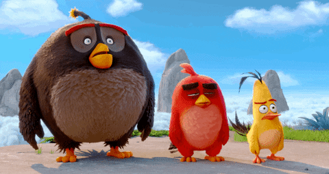 GIF by Angry Birds
