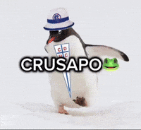 Uc Catolica GIF