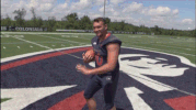 rmuathletics rmu robert morris robert morris university GIF