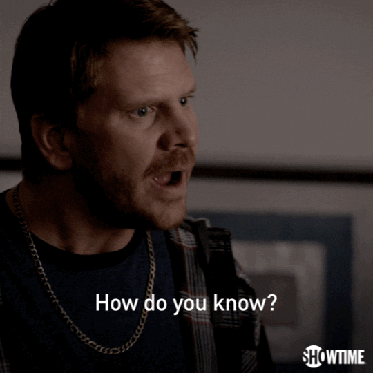 angry season 1 GIF by Ray Donovan