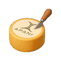 APANI_A apani apani life apani experience apani villa Sticker