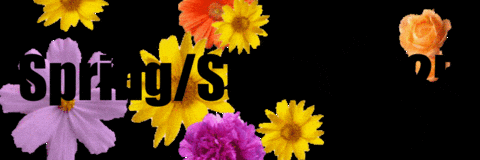 C-Throu Spring-Summer 25 GIF by CTHROU