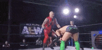 Dustin Rhodes Aew On Tnt GIF by All Elite Wrestling on TNT