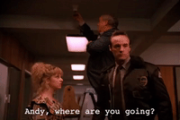 season 2 GIF by Twin Peaks on Showtime