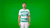 Var Kleeblatt GIF by SpVgg Greuther Fürth