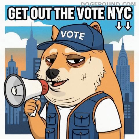 Voting New York City GIF by Doge Pound