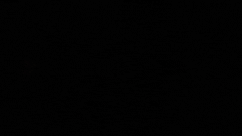 sverineduvic giphygifmaker GIF