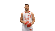 Bcl Sticker by Basketball Nymburk