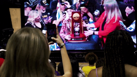 Happy Baton Rouge GIF by LSU Tigers