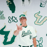 South Florida Baseball GIF by USF Athletics