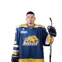 tiposshl sport hockey hokej shl Sticker