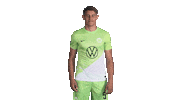 Like A Boss Deal With It Sticker by VfL Wolfsburg