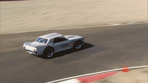 GIF by Discovery