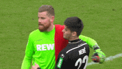 fckoeln happy football soccer smile GIF