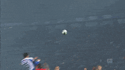 Save 1 Fc Cologne GIF by 1. FC Köln