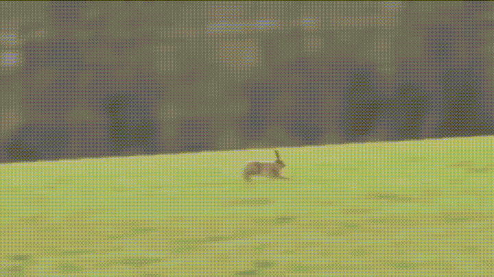 touch ca GIF
