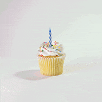 birthday cupcake GIF by Evan Hilton