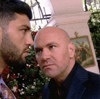 Press Conference Ufc GIF