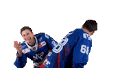Best Friends Sticker by Adler Mannheim