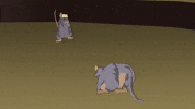 mice rats GIF by South Park 