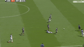 inter GIF by nss sports