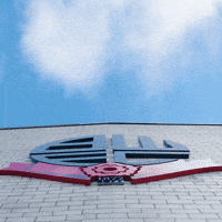 Celebrations GIF by Bolton Wanderers FC