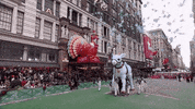 Macys Parade GIF by The 95th Macy’s Thanksgiving Day Parade