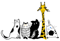 cats staring GIF by Nat Resende