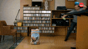 Hungry Dog Food GIF by BuzzFeed