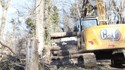 Cat Log GIF by JC Property Professionals