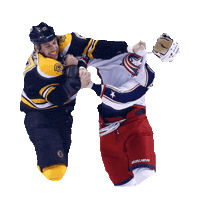 hockey nhl STICKER by imoji
