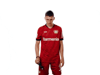 Bayer 04 Deal With It GIF by Bayer 04 Leverkusen