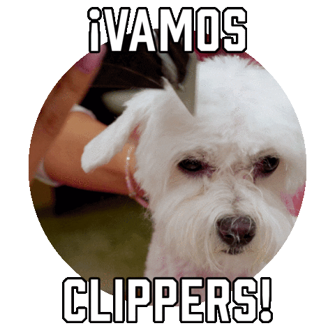 La Clippers Sticker by Sealed With A GIF