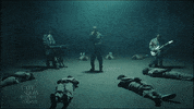 Stephen Colbert GIF by The Late Show With Stephen Colbert