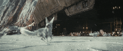 The Last Jedi Creatures GIF by Star Wars