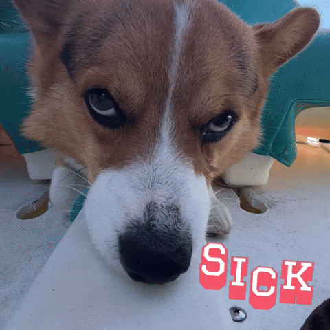 Sick GIF