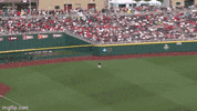 Ole Miss Baseball GIF by NCAA Championships