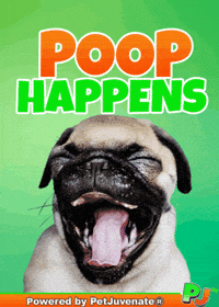 Henlo Hooman Fren GIF by PetJuvenate - PJ