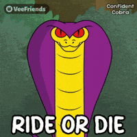 Appear Ride Or Die GIF by VeeFriends