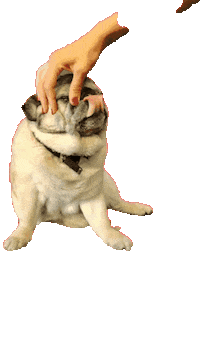 Dog Pet Sticker by Invictus